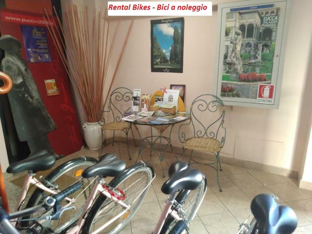 B&B Ai Cipressi Lucca Exteriér fotografie